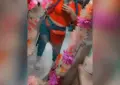 Fotografía de Gordi buena, escort en Cancún, México